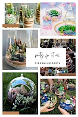 Build Your Own Terrarium: Handmade Hotspot Ft Stick it Babe LLC