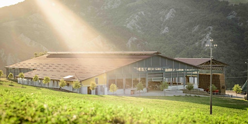 Immagine principale di Ferraroni Mangimi Incontri 2024 - OpenDay Società Agricola l'Argentina 