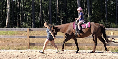 Fun on the Farm