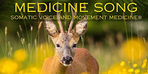 Imagen principal de Medicine Song, Somatic Voice and Movement,