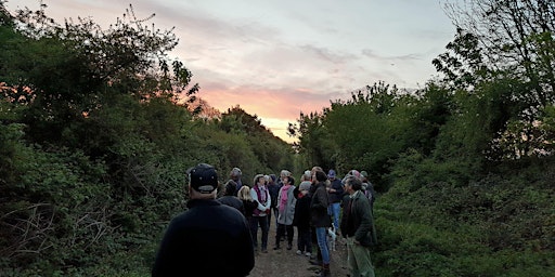 Imagen principal de POSTPONED: Dawn to Dusk Day 2024: Birdsong Dawn Chorus walk