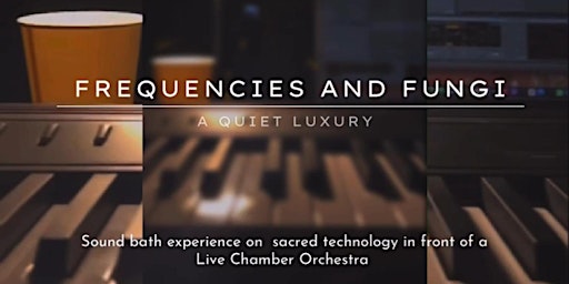 Imagem principal de Frequencies & Fungi: A Quiet Luxury