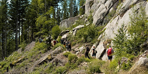 Singlewanderung: Wieden - Genießerpfad Belchensteig (40-55)  primärbild