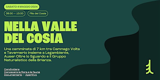 Nella Valle del Cosia  primärbild