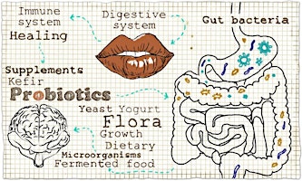 The Vitality Blueprint series: Gut Health primary image