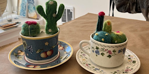 Imagem principal de Teacup Cactus Garden