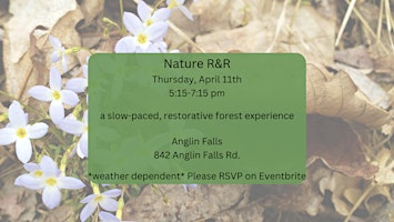 Hauptbild für Nature R&R: a slow-paced, relaxing and restorative forest experience