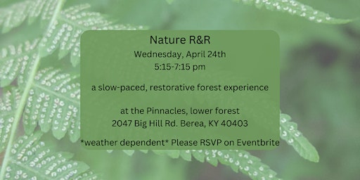 Nature R&R: a slow-paced, relaxing and restorative forest experience primary image