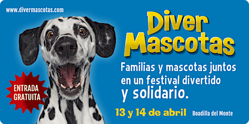 Imagen principal de Diver Mascotas