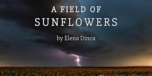 Primaire afbeelding van A Field of Sunflowers