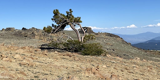 Immagine principale di Big Red Mountain, Dutchman Peak & Tamarack Meadows 