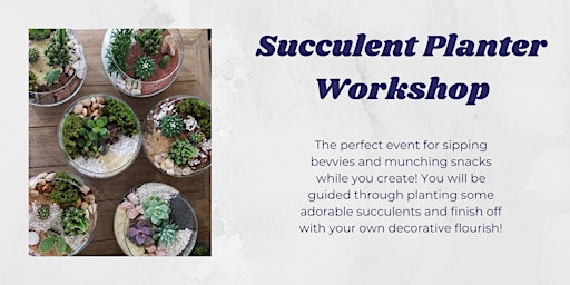 Primaire afbeelding van Succulent Planter Workshop