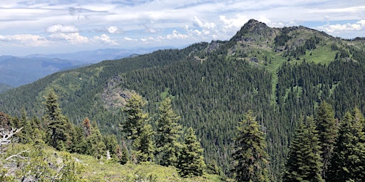 Hauptbild für Whisky Peak