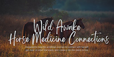 Primaire afbeelding van Wild Awake - Horse Medicine Connections