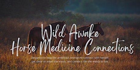 Wild Awake - Horse Medicine Connections
