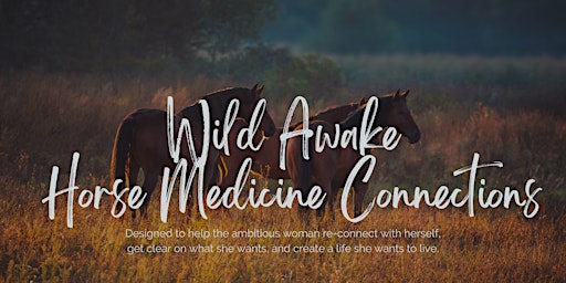 Wild Awake - Horse Medicine Connections primary image