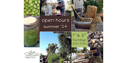 Minifarm Open Hours, Summer2024  primärbild