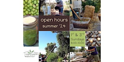 Hauptbild für Minifarm Open Hours, Summer2024