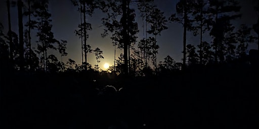 Hauptbild für Guided Full Moon Hike