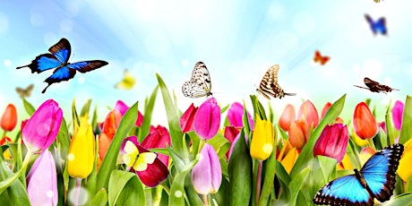 Gardening in North Dakota with Shey West