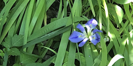 Hauptbild für LIVING CLOSE TO NATURE