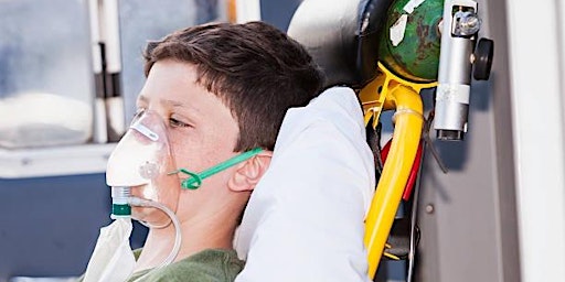 Hauptbild für Critical Care Considerations for Children