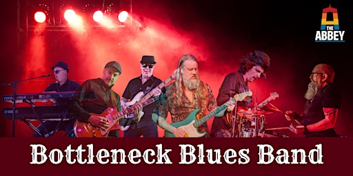 Imagem principal de Bottleneck Blues Band