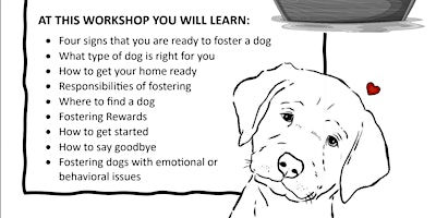 Free Dog Fostering 101 Workshop primary image