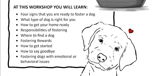 Imagem principal do evento Free Dog Fostering 101 Workshop