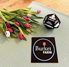 Yoga in the Tulip Fields