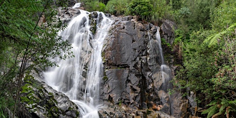 Cascade Serenity:Waterfall photography at Steavensons Falls with OMSolution