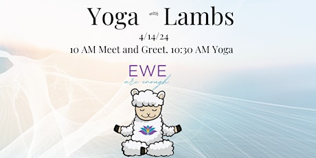 Yoga with Lambs