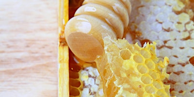 Imagen principal de Beekeeping Program For Adults Introductory