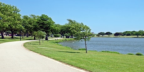 Bachman Lake Shoreline Spruce Up