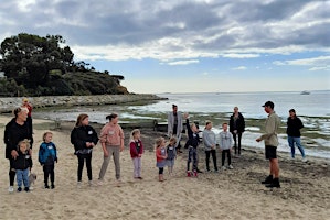 Imagem principal de Junior Foreshore Ranger - Plant Detectives