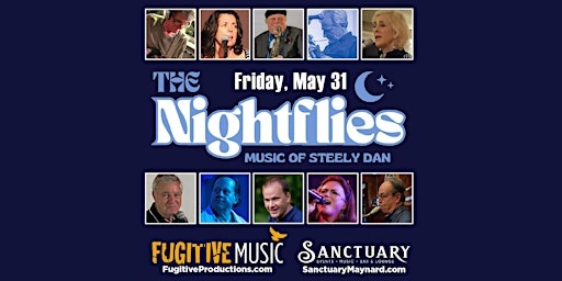 The Nightflies primary image