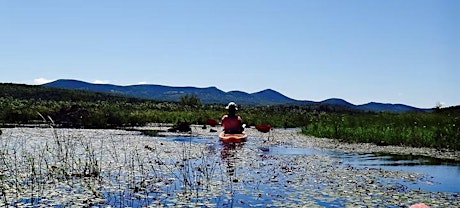 Stillwaters  ~ Mindfulness Meditation for the Busy Mind