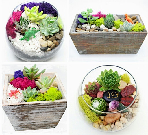 Imagen principal de Plant Nite: Make a Succulent Terrarium