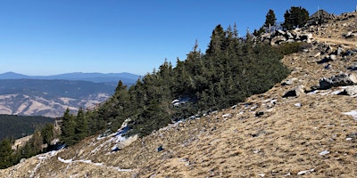 Immagine principale di Mt. Ashland 