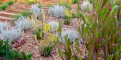 Hauptbild für Native Verge Garden Workshop