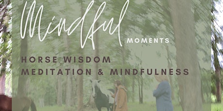 Horse Wisdom Meditation & Mindfulness