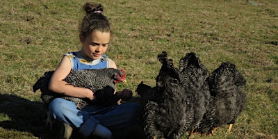 Immagine principale di Hidden Valley Workshops: Keeping Chooks for Eggs 