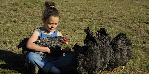 Hidden Valley Workshops: Keeping Chooks for Eggs primary image