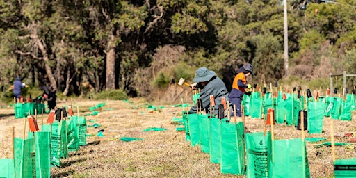 Living Green and Keep Carnaby's Flying - Community Planting Day  primärbild