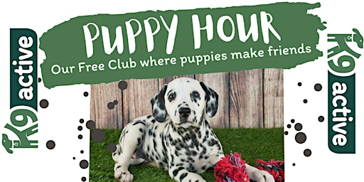 Primaire afbeelding van Puppy Hour at K9 Active (April 6th)