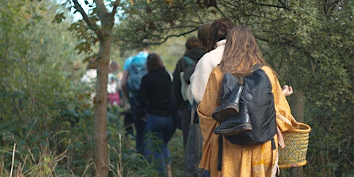 Primaire afbeelding van Discover Wild Medicinal Herbs