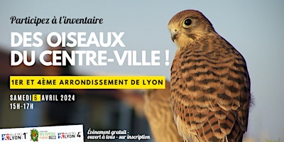 Imagen principal de Inventaire des oiseaux du centre-ville !