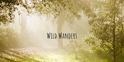 Imagem principal do evento Summer Solstice Wild Wander