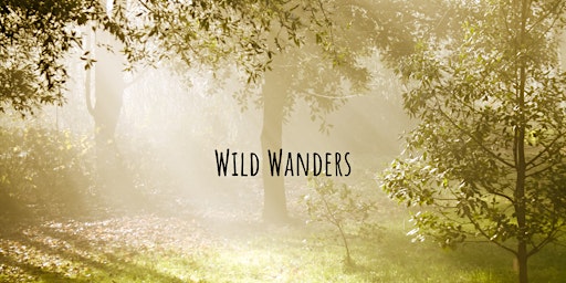 Hauptbild für Summer Solstice Wild Wander