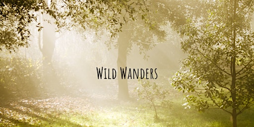 Primaire afbeelding van Summer Solstice Wild Wander